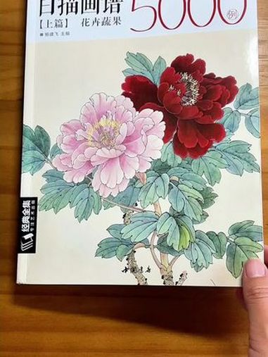 白描花卉,线稿临摹书 画画 一起学画画 好书分享 国画