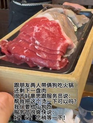妈妈带我们一起打猎啦!萌宠出道计划 铲屎官的乐趣 养宠人的治愈谁懂啊 它真的好像个小宝宝 