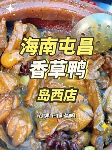 在东方,想吃海南屯昌香草鸭就来这家海南屯昌香草鸭店 海南屯昌香草鸭 饭点到了 海南美食 同