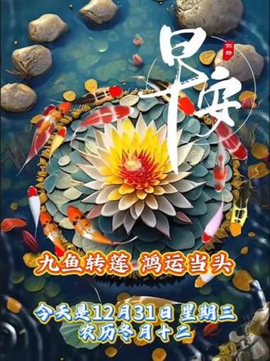 今天是12月31日,星期三,农历冬月十二,早安,九鱼转莲,鸿运当头。#一花一草一世界 #新