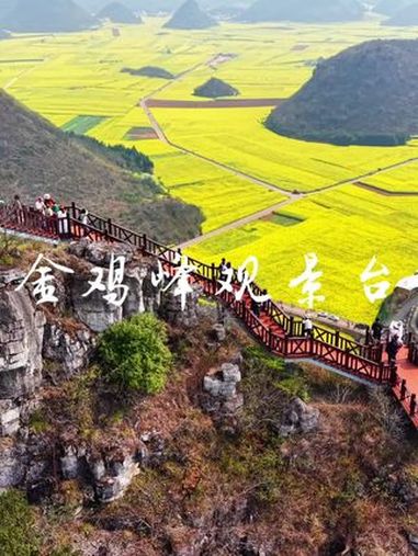 360度无死角,百万亩油菜花观景台,只有在罗平才有吧……金鸡峰丛 罗平油菜花