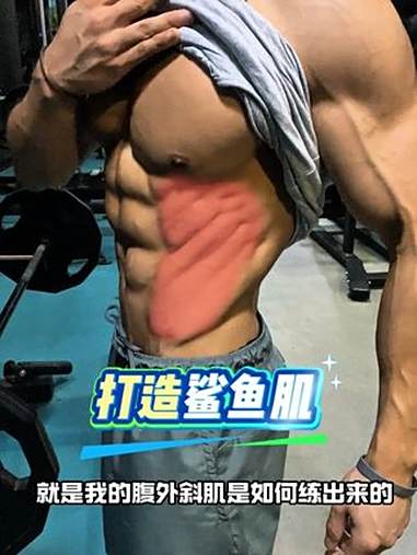 想要鲨鱼肌好看的小伙伴 这三个动作可以加入到训练中去！健身干货 腰腹训练 健身教学