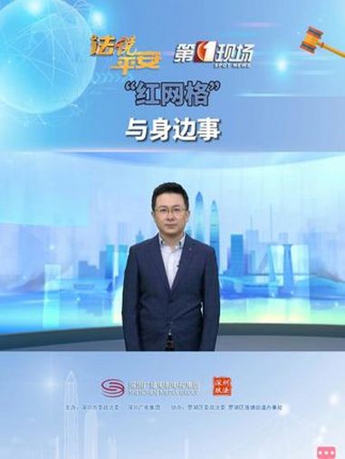 文峰快评VOL.32|“红网格”,与身边事 深圳 法说平安