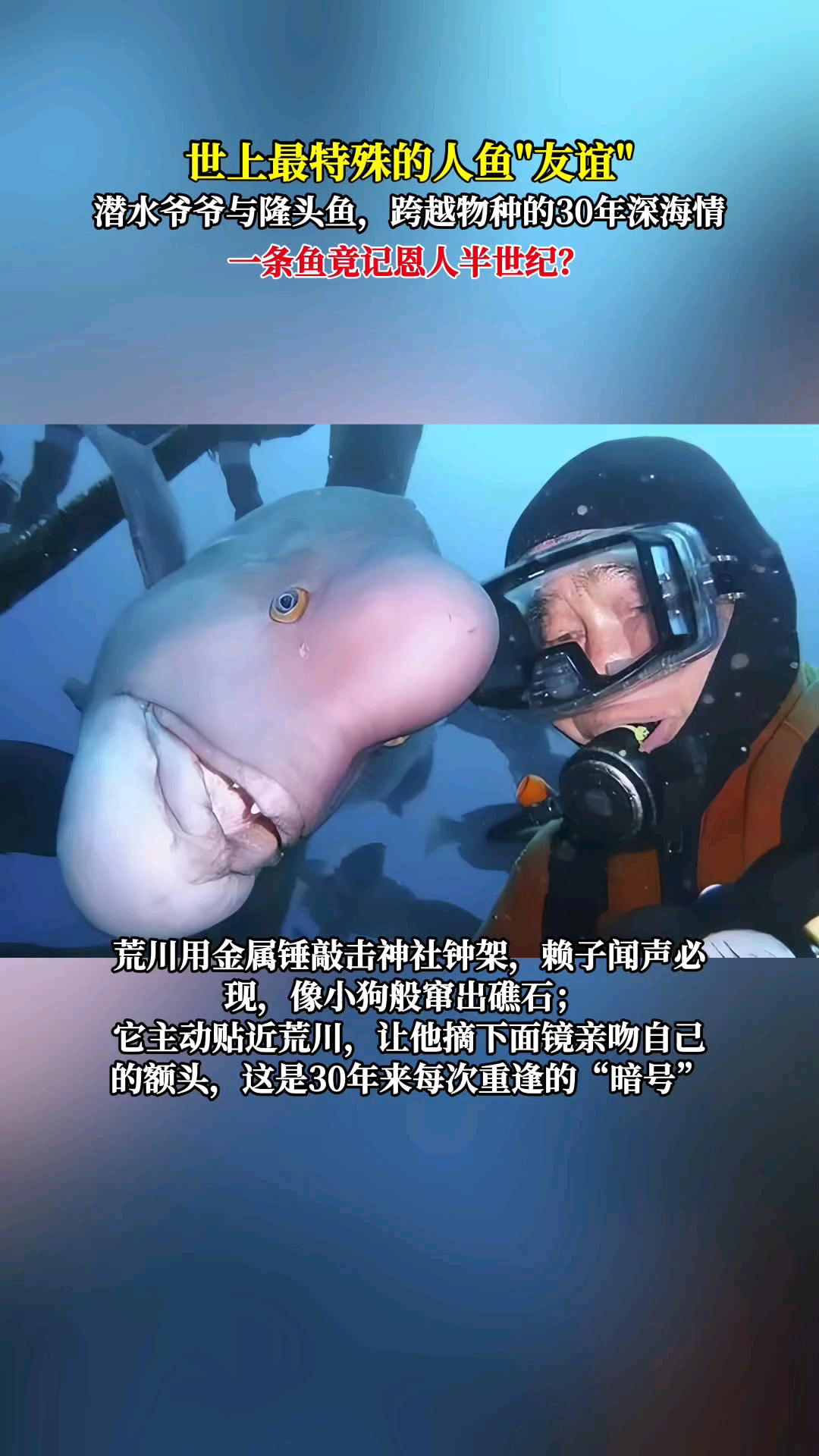 世上最特殊的人鱼