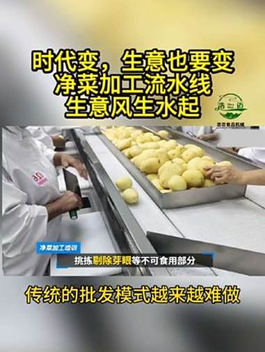 老张在农产品批发市场摸爬滚打了二十年，手里握着不少菜农的资源。但近年来，传统的批发模式越来