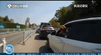 是谁在开车？主驾位置突然伸出一只狗头！-有驾