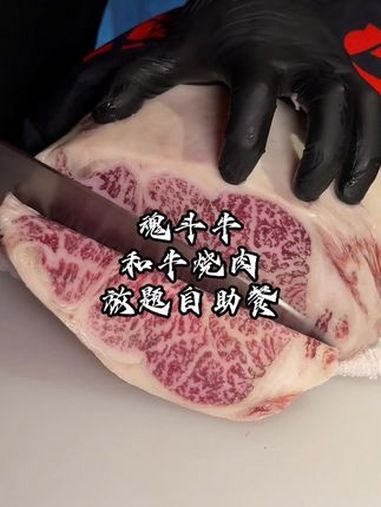 猛炫高档和牛烧肉自助餐,全程帮烤又是漂亮饭,顶。和牛烧肉自助 自助餐 和牛放题自助餐 放题