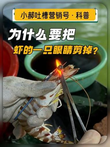 吐槽营销号——《为什么要剪掉虾的一只眼睛?》《表情包没有会动的?》《鱿鱼里有塑料?》#科普