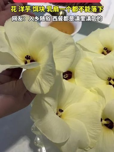 云南人的西餐都有什么菜?正确的打开方式 云南菜真的被低估了 来云南解锁食花文化