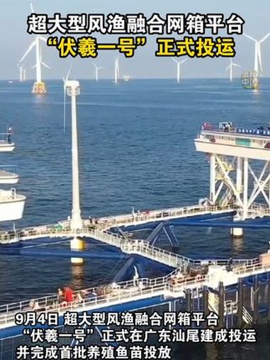 9月4日,超大型风渔融合网箱平台“伏羲一号”正式在广东汕尾建成投运,并完成首批养殖鱼苗投放