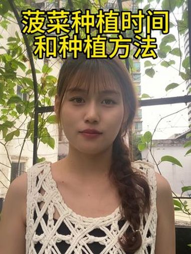 菠菜的种植方法和时间 记录真实生活 新农人 分享农业知识帮农民增产增收 农业种植