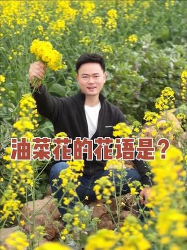 油菜花的花语是 有财发!#邹兵老师