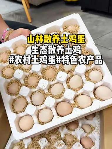 生态散养土鸡 农村土鸡蛋 营养丰富 特色农产品