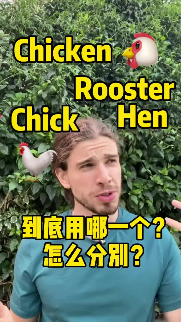 Rooster, Hen, Chicken, Chick 什么区别?
