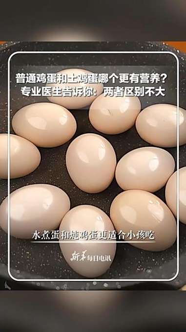 每日健康|普通鸡蛋和土鸡蛋哪个更有营养?专业医生告诉你:两者区别不大,水煮蛋和炖鸡蛋更适合