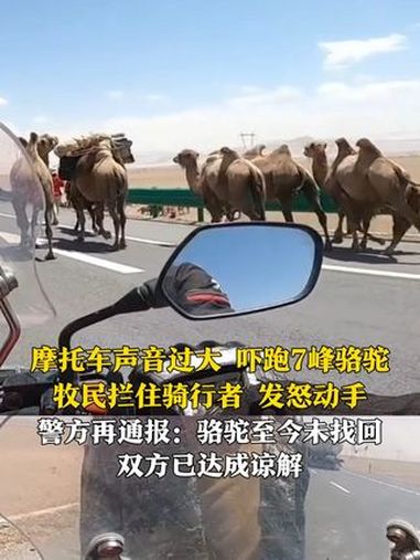 因摩托车声音过大，吓跑7峰 骆驼，牧民拦住骑行者，发怒动手。7月16日，格尔木市公安局再次