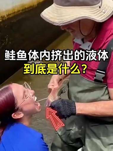 鲑鱼体内挤出的白色液体,到底是什么?鲑鱼 趣事 有趣 全球看点