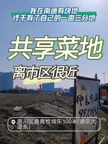 这个可以有啊,南通市区新增一处共享菜园 开放认领 #共享菜园认领 #同城 南通市区新增一处