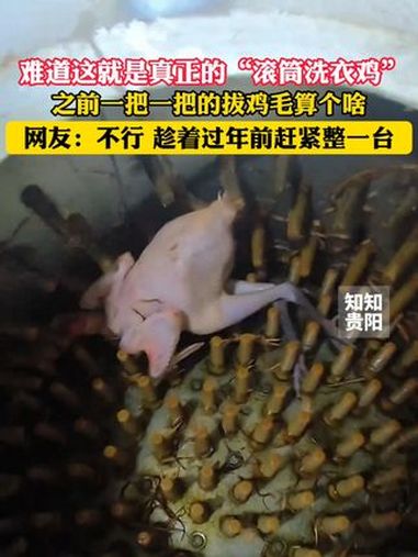 难道这就是真正的“滚筒洗衣鸡”?之前一把一把的拔鸡毛算个啥。网友:不行,趁着过年前赶紧整一