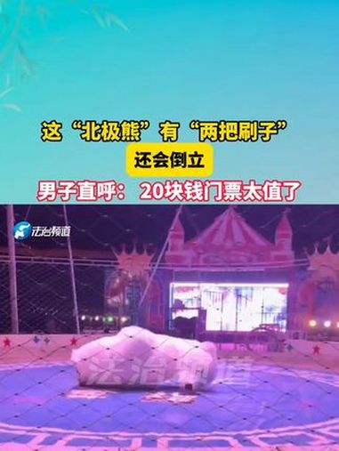 这“北极熊”有“两把刷子”还会倒立,男子直呼:20块钱门票太值了