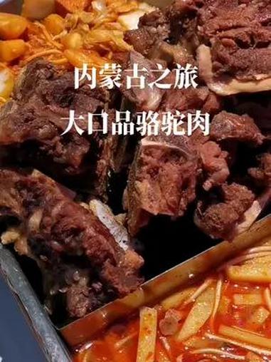 内蒙古之旅——大口品骆驼肉 享受美食享受生活