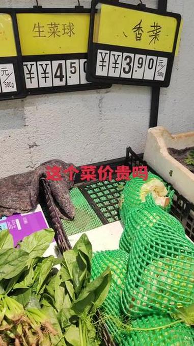 现在的菜价变得越来越贵了 今日菜价 今日菜价行情 今日菜价格 滨州头条 抖音美食创作人