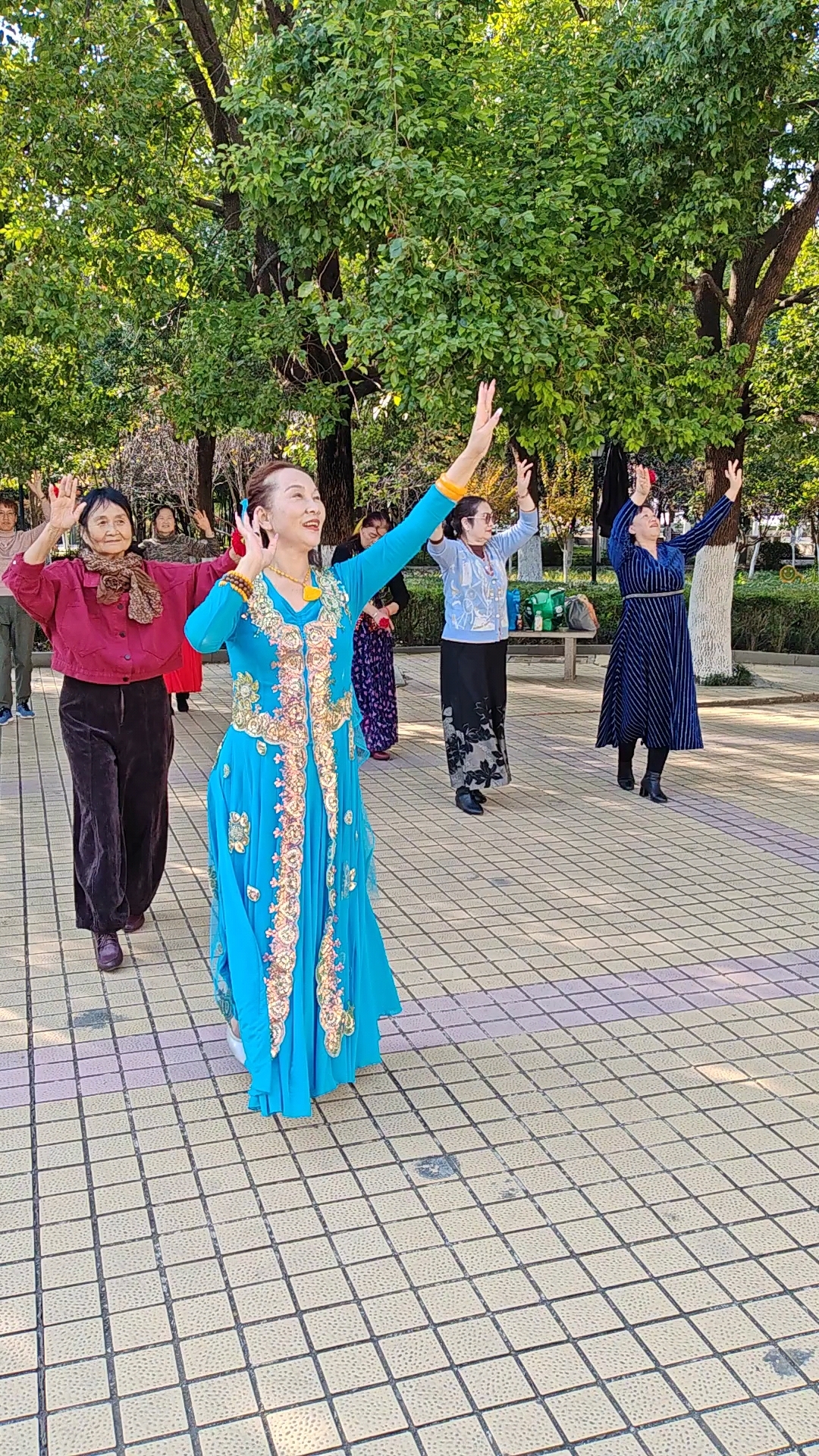 驻马店世纪广场新疆舞练习视频(14)