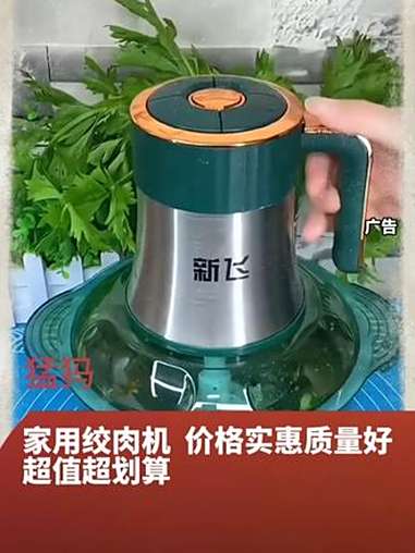多功能绞肉机 绞肉绞菜太方便了，吃饺子包子再也不用剁肉剁菜了 电动料理机 辅食机 绞肉机 