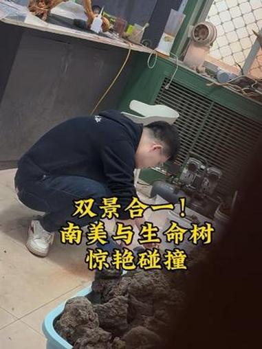 双景合一！南美与生命树的惊艳碰撞 #鱼缸造景 #鱼缸里的大自然 #司马光玩缸