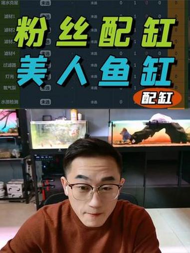 鱼缸搭配之养美人鱼?还是食人鱼?低预算,又耐造的配置!鱼缸搭配 鱼缸过滤 开缸 养鱼日记 