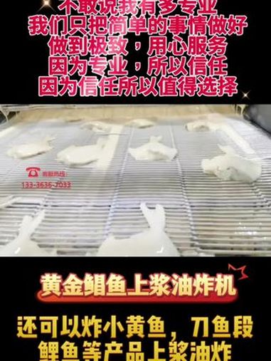 黄金鲳鱼上浆油炸设备客户投产使用 鲳鱼油炸机 刀鱼段油炸机 小黄鱼上浆机 小黄鱼油炸机 鲤