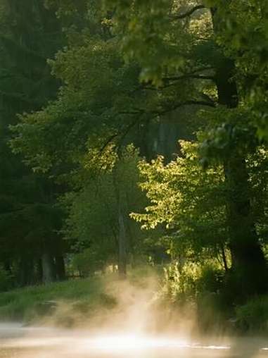 家人们！德芙牛奶巧克力也来搞优惠了！一大袋45颗到手超划算，奶香味浓、入口丝滑还不甜腻，大