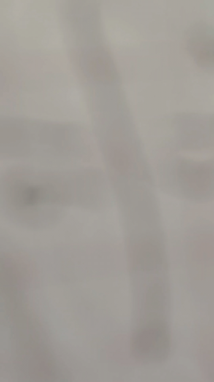 今日份手抄报