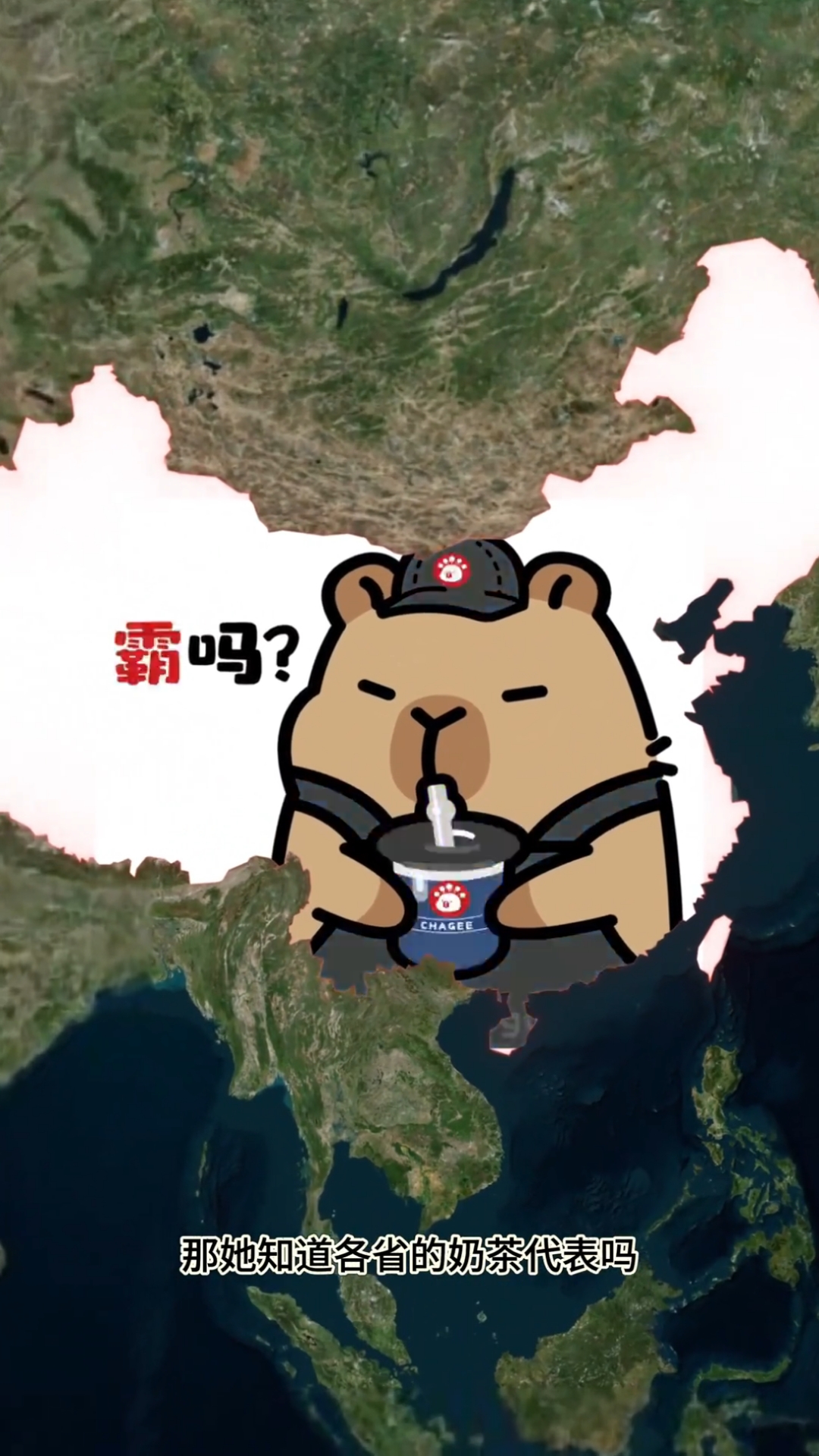 各省的奶茶代表,口味都如何