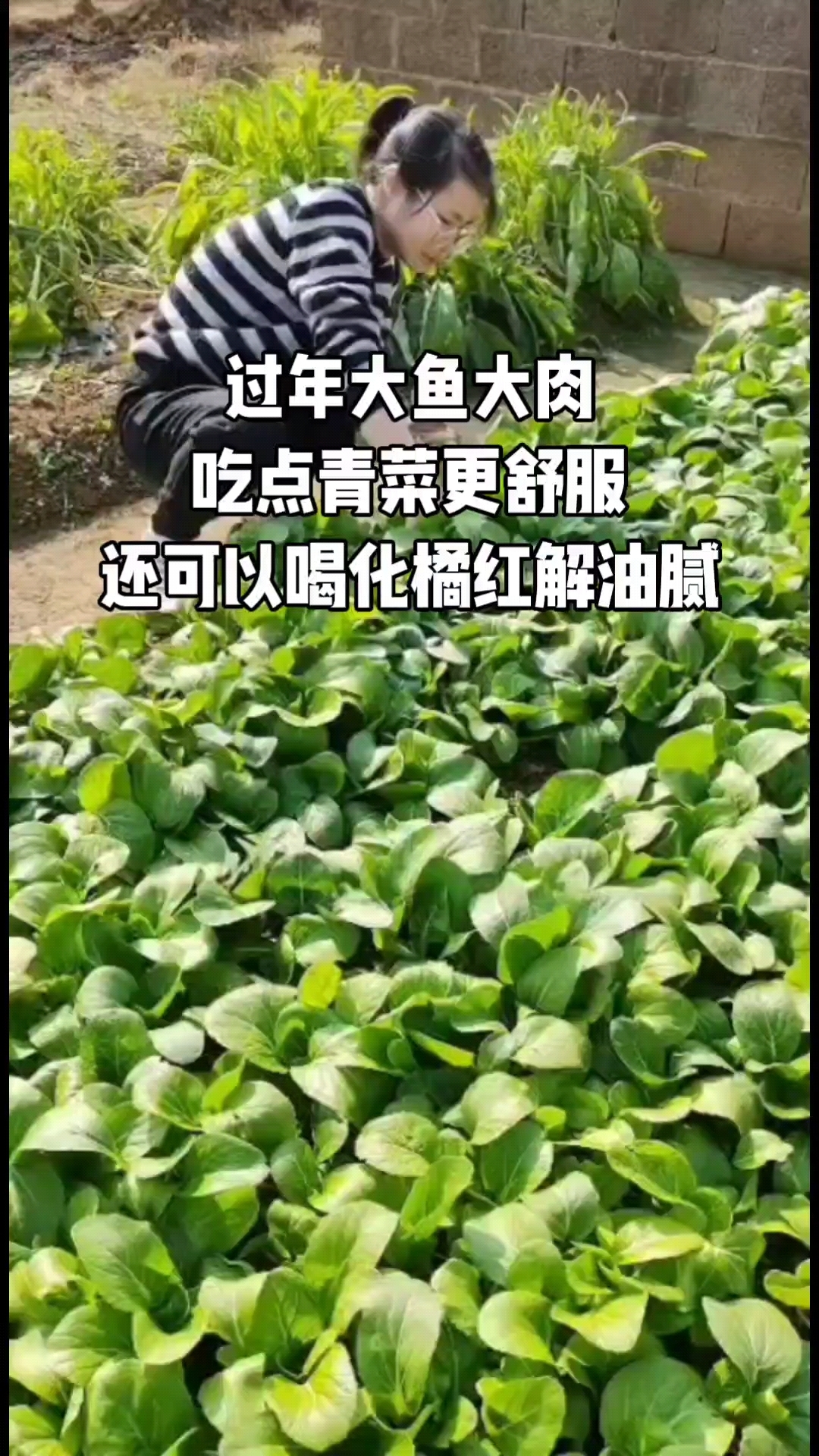 过年大鱼大肉吃多了搭配吃点青菜更舒服，还可以喝杯化橘红解油腻