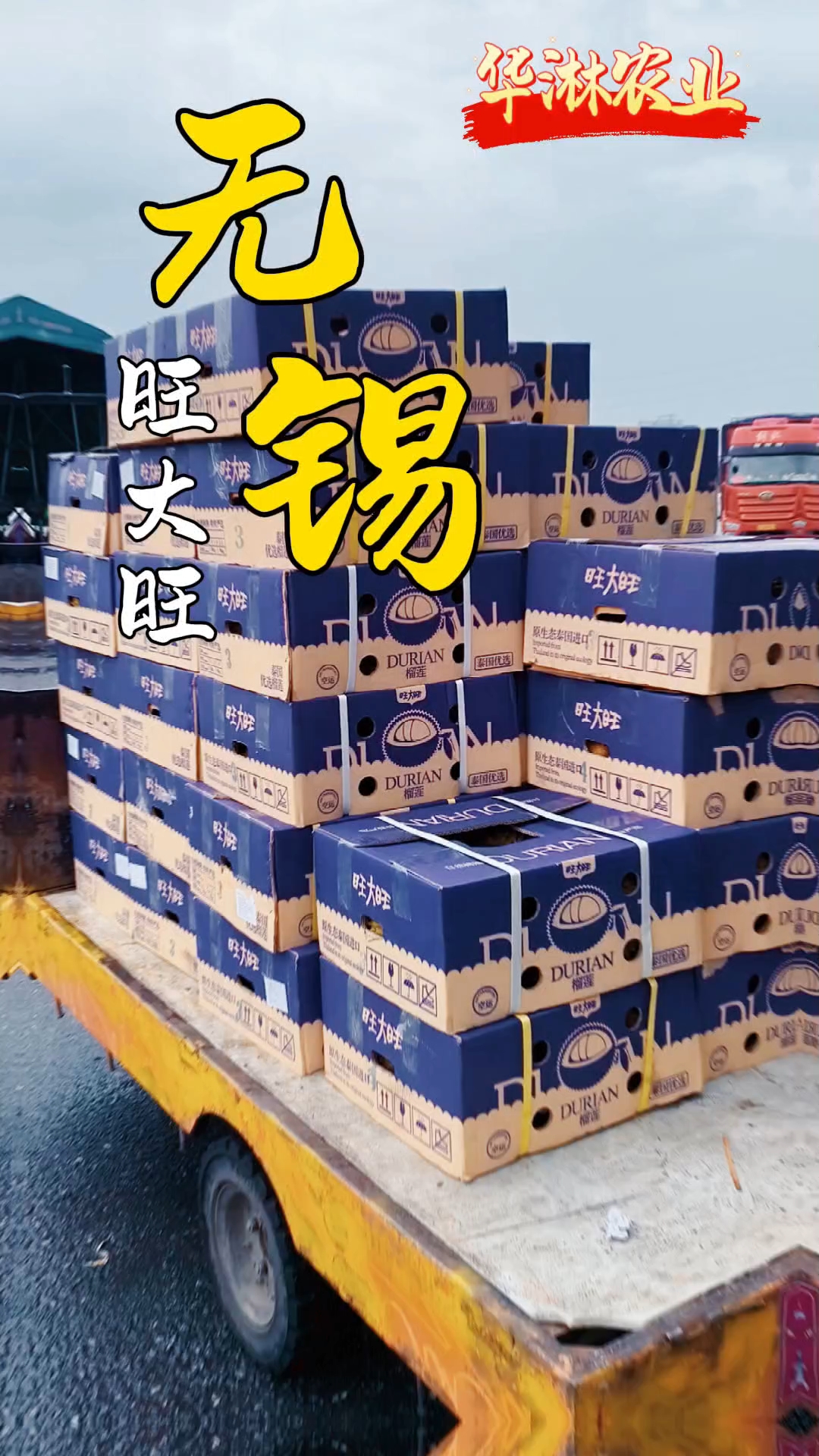 #泰国金枕榴莲榴莲*旺大旺#榴捕头泰国火山树熟空运榴莲#极品