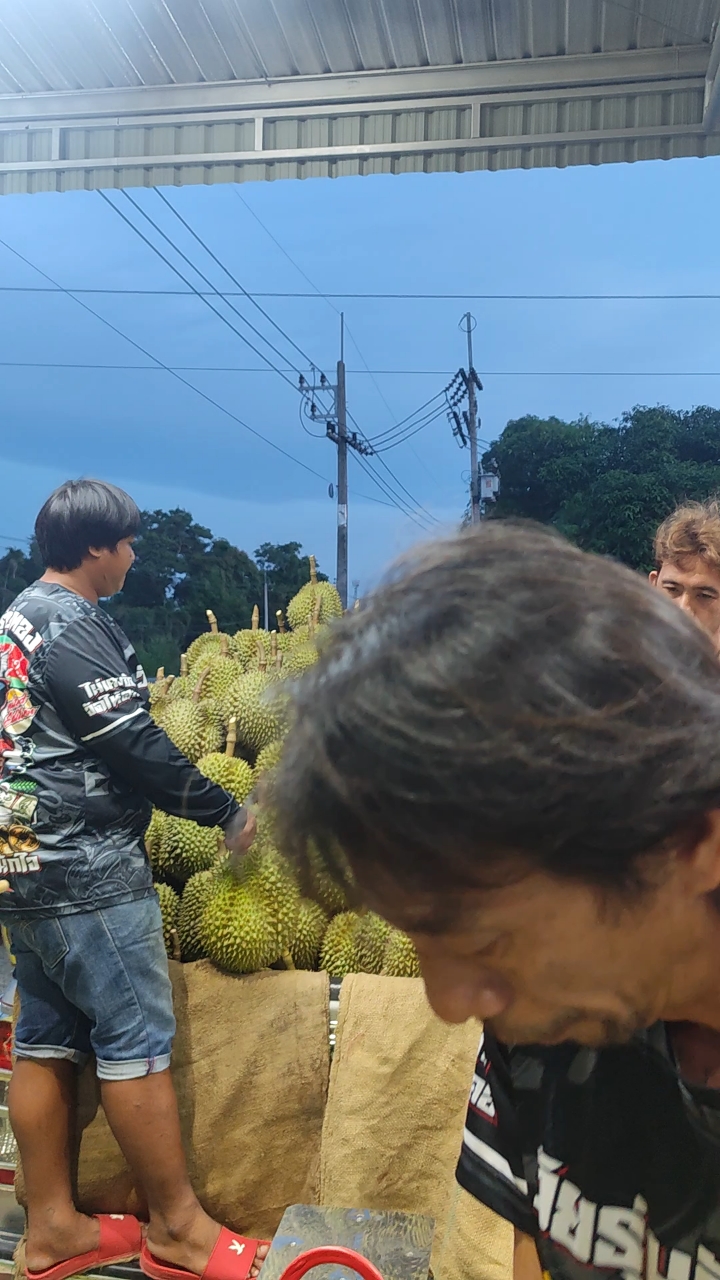 榴捕头*泰国金枕树熟火山空运榴莲/ 颗颗三遍手工甄选