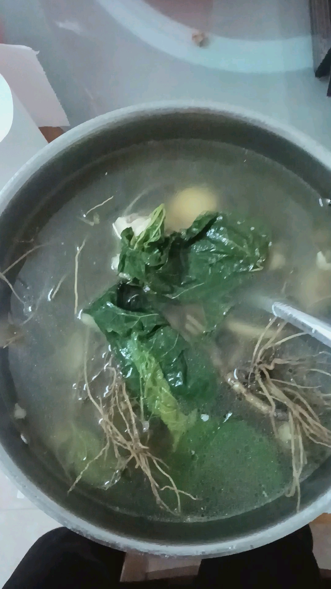 秋日养生食疗,桑叶地胆头煲鲍鱼鸡,有治疗和预防感冒功效。