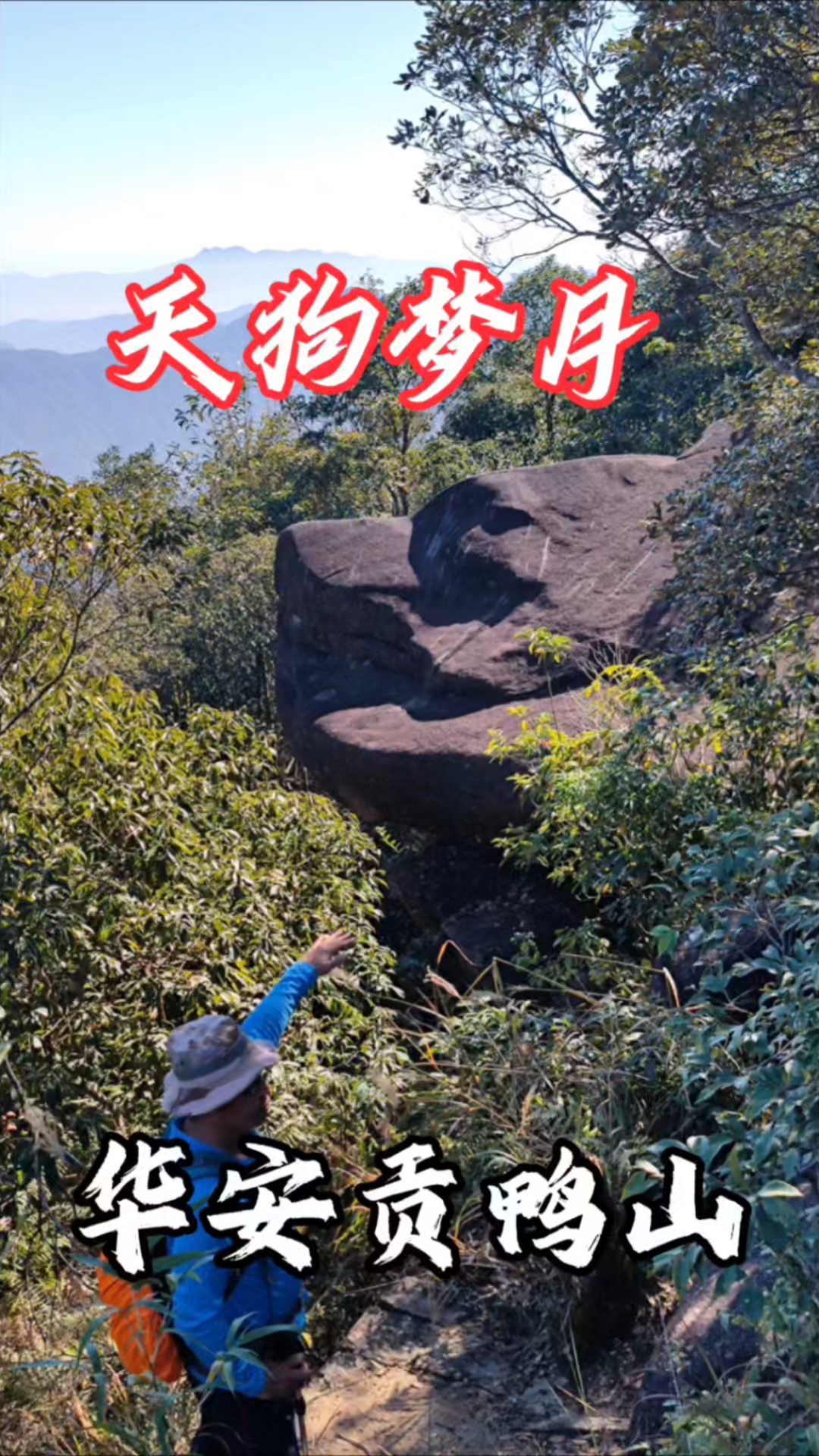 华安贡鸭山森林公园:石动物风光冠八闽,“天狗梦月”形神兼备