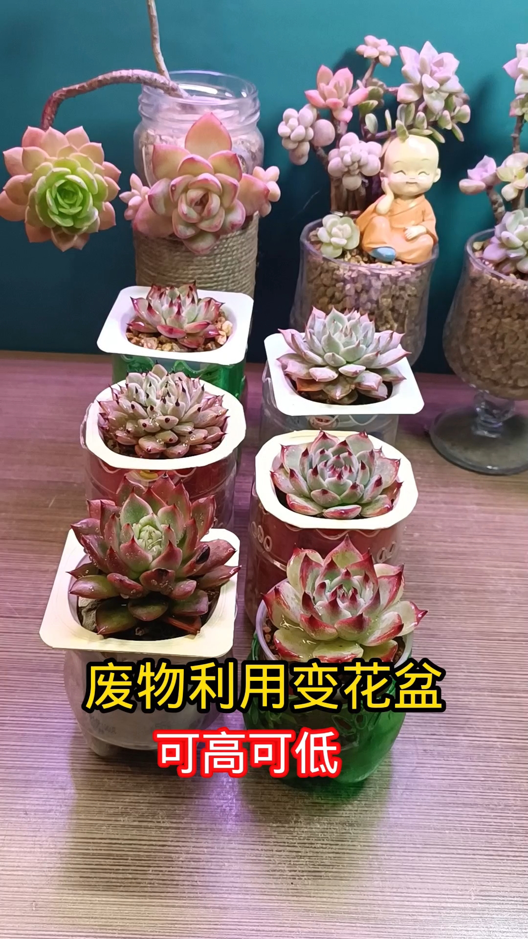 废物利用,实现多肉花盆自由