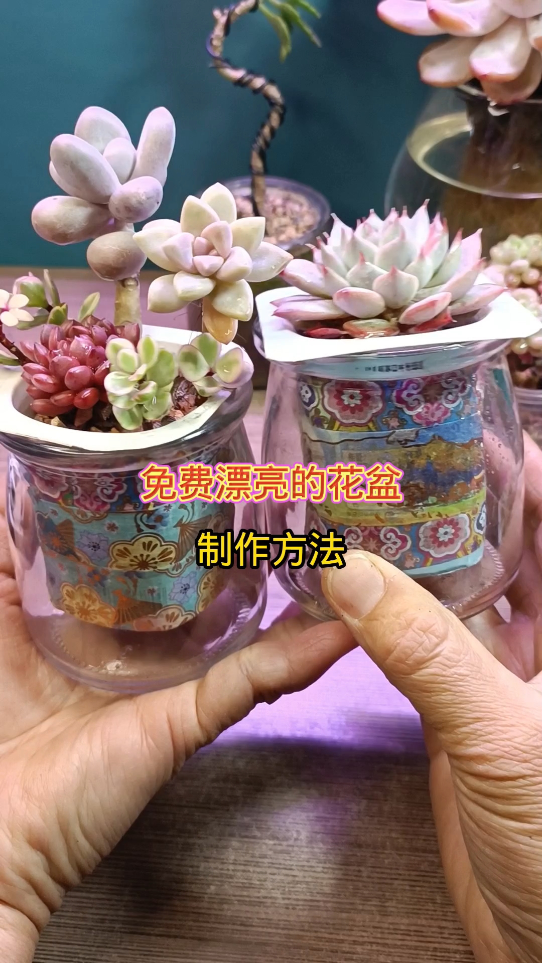 废物利用做免费漂亮的花盆,方法很简单