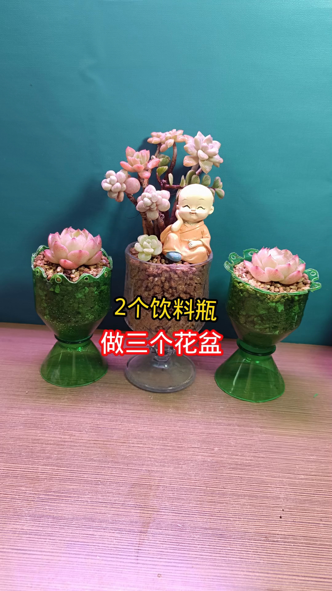 2个饮料瓶变3个花盆,废物利用