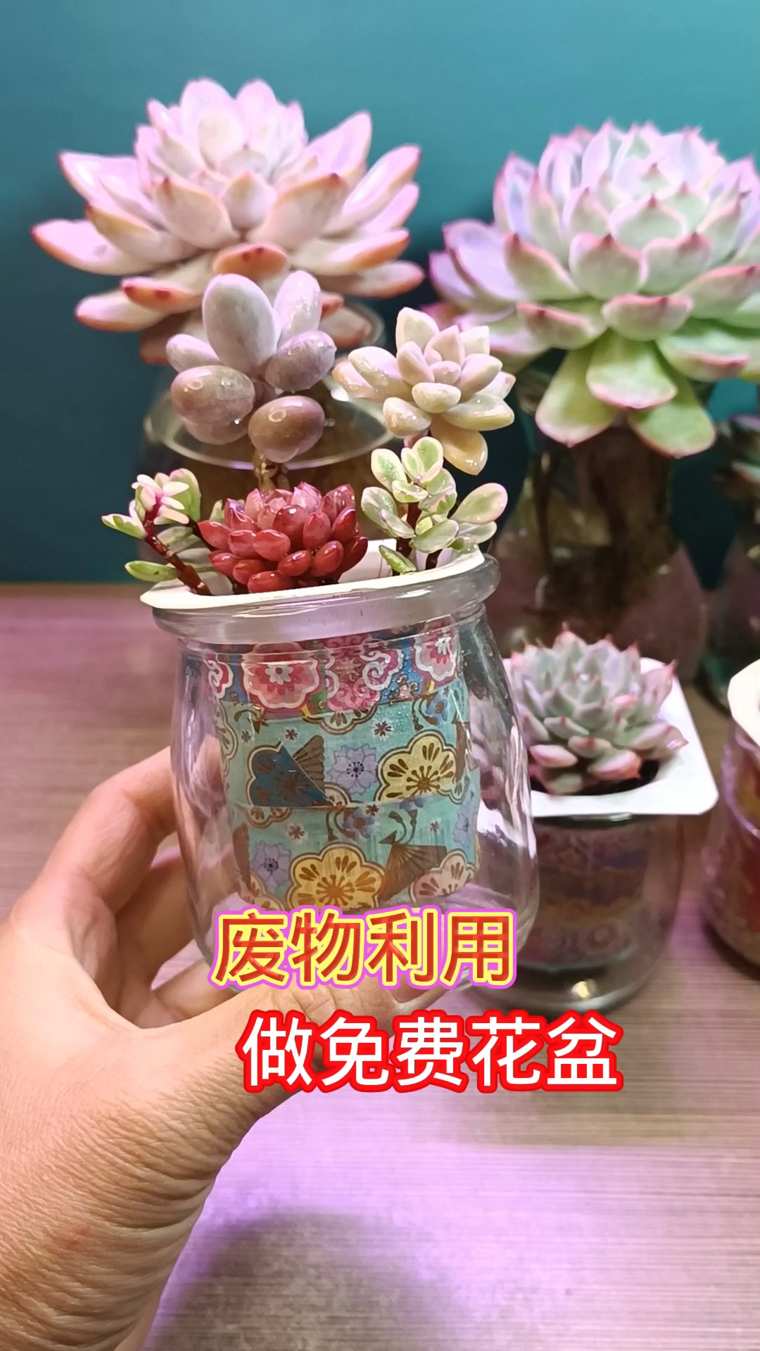 废物利用,自制免费花盆,方法简单