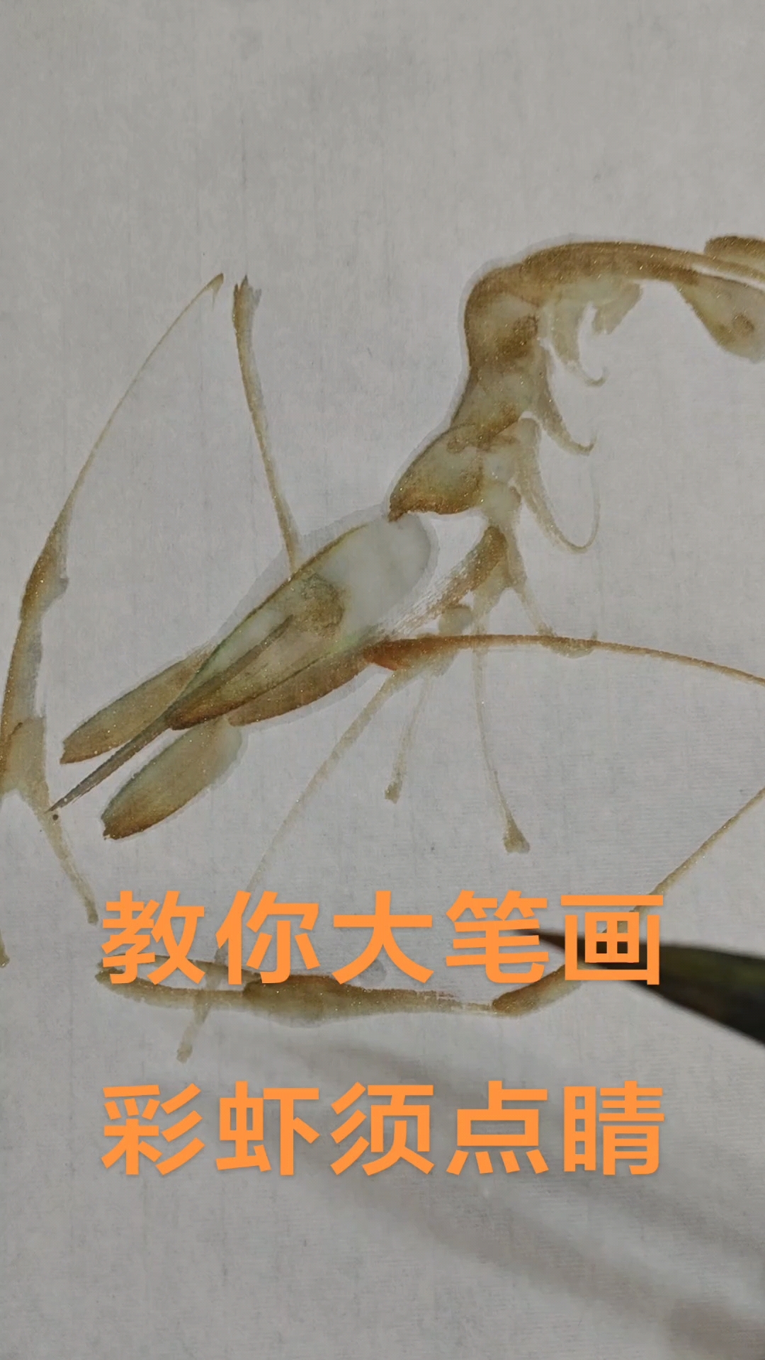 齐白石先生画虾支南祥画不一样的虾