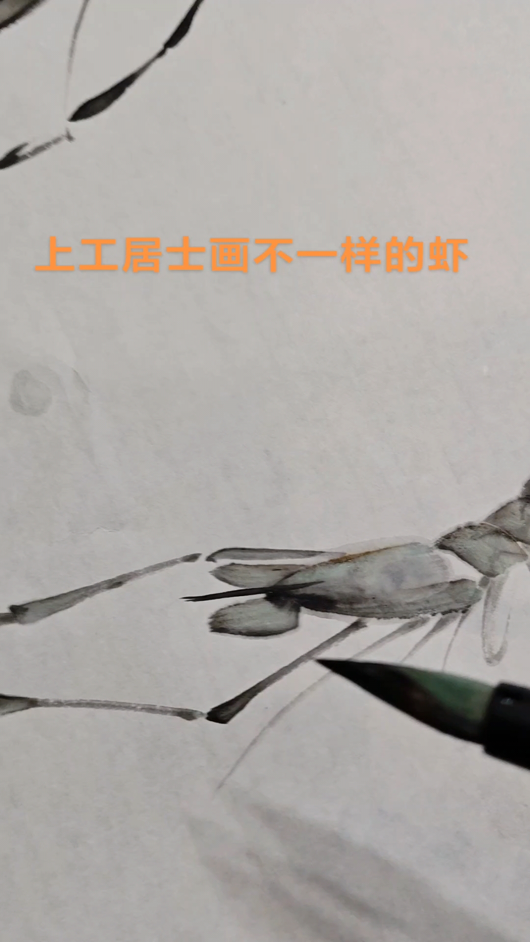 齐白石先生传人上工居士画虾视频看看吧
