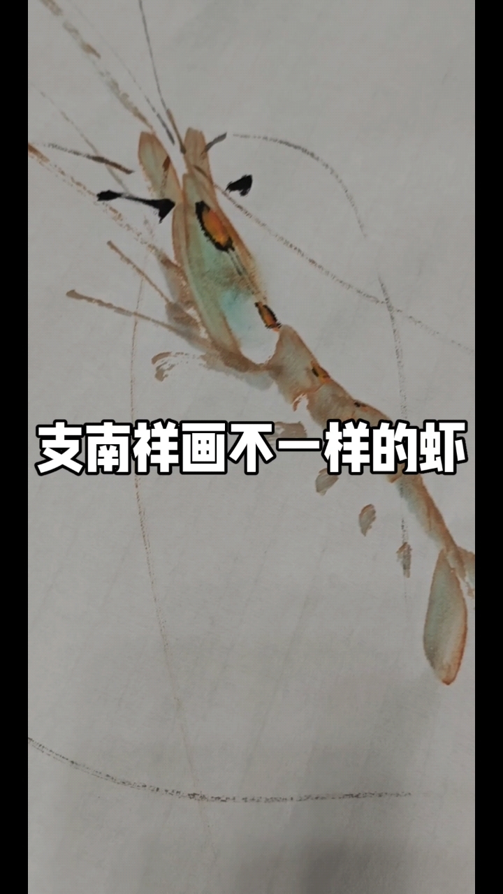 齐白石先生传人支南祥彩色画虾,这个虾真生动有趣。