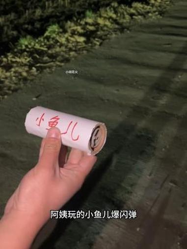 童年回忆小金鱼 小金鱼 摔炮 鞭炮