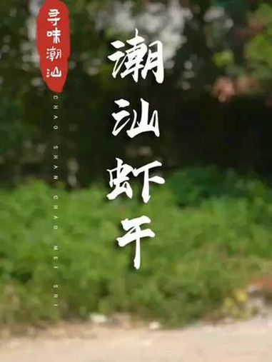 海的味道,尝过虾干你就知道!潮汕美食 广东恰饭指南 藏在小巷子里的潮汕美食