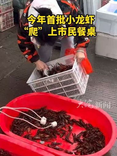 今年首批小龙虾“爬”上市民餐桌
