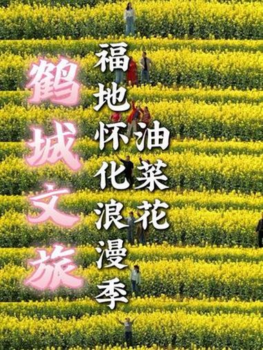 这个春天,要和朋友们来小鹤家油菜花田拍一次同款!第五届湖南旅游发展大会 福地怀化如诗如画 